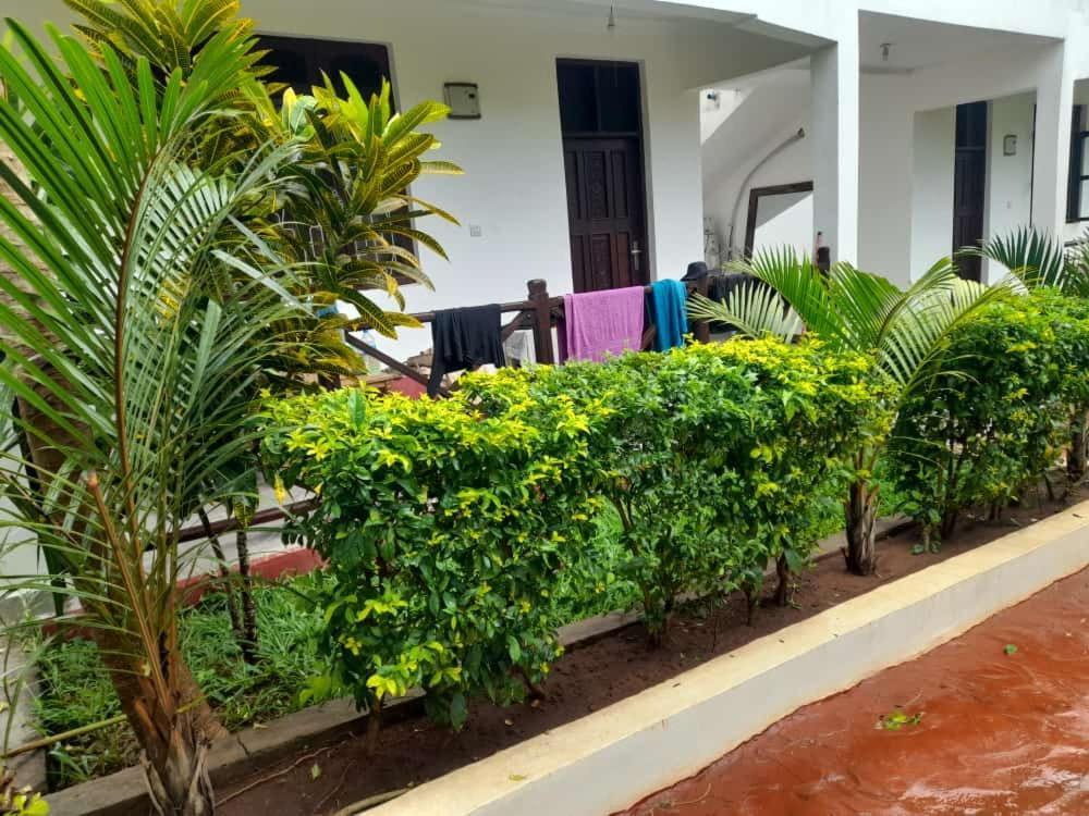 Majani Breeze Villa Nungwi Kültér fotó