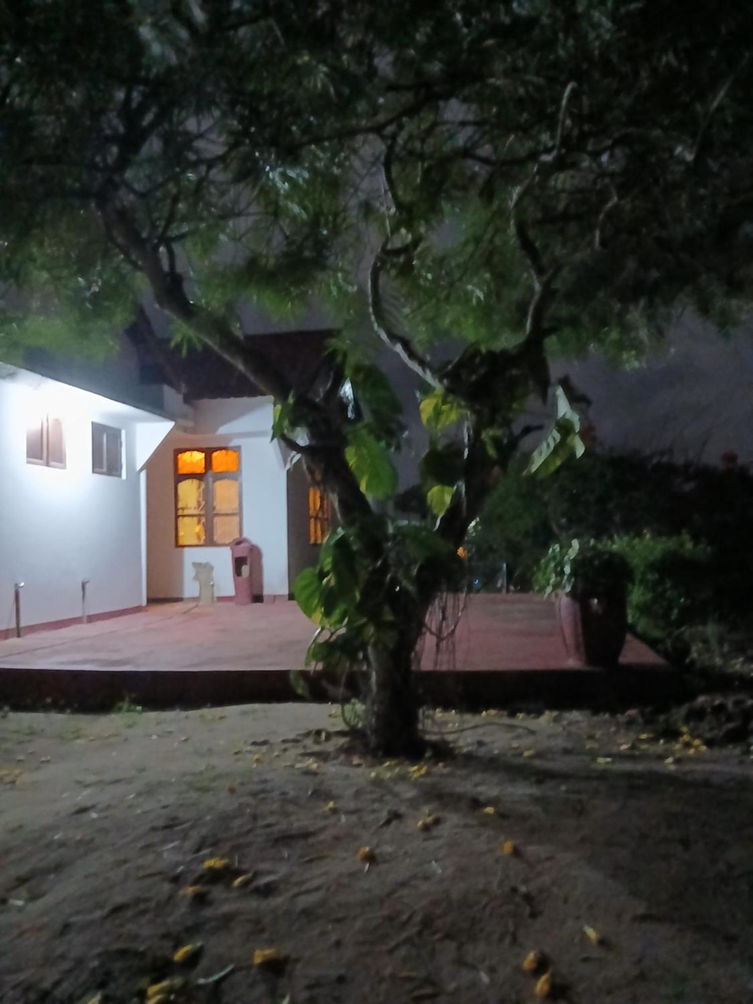 Majani Breeze Villa Nungwi Kültér fotó