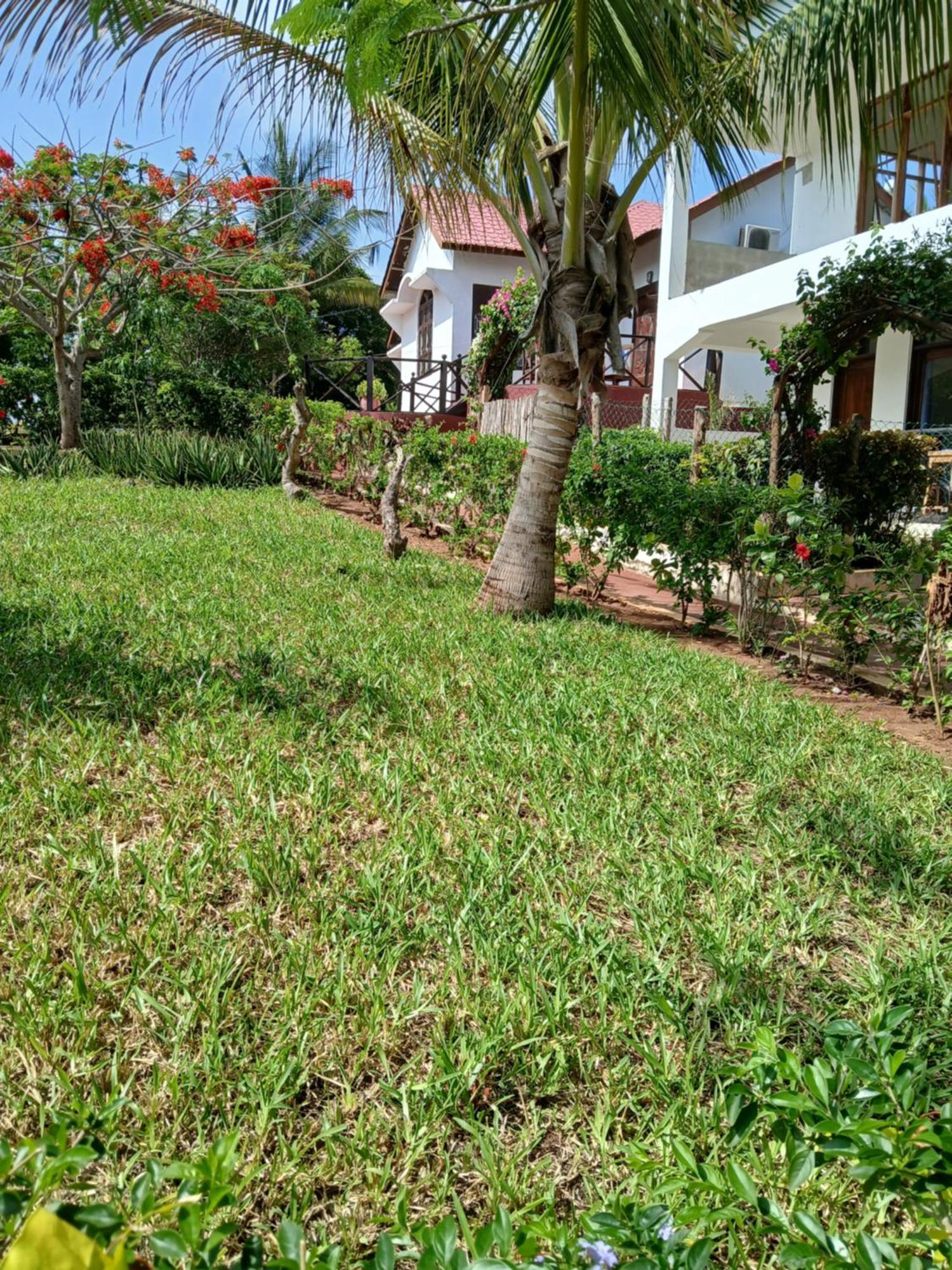 Majani Breeze Villa Nungwi Kültér fotó