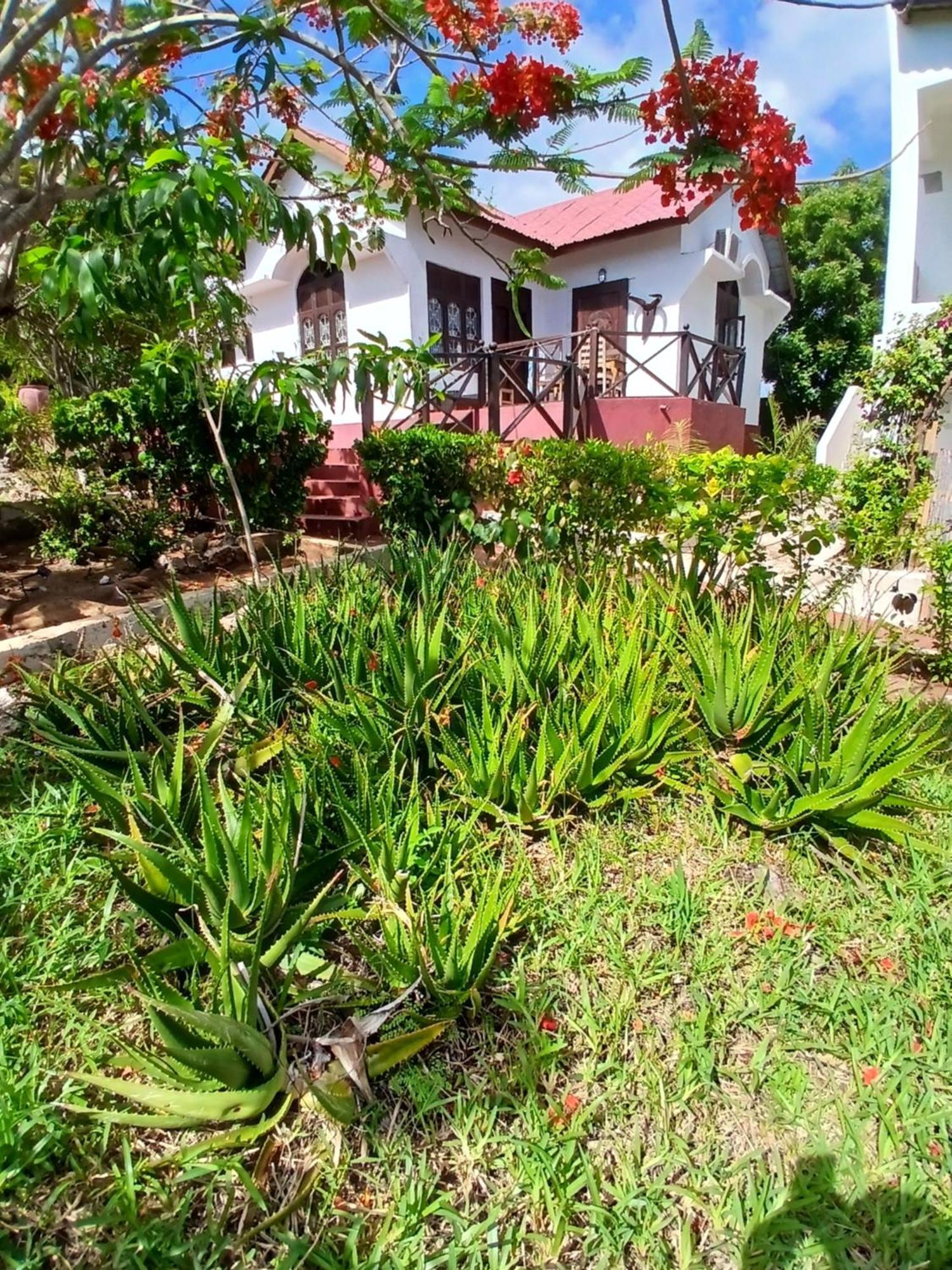 Majani Breeze Villa Nungwi Kültér fotó
