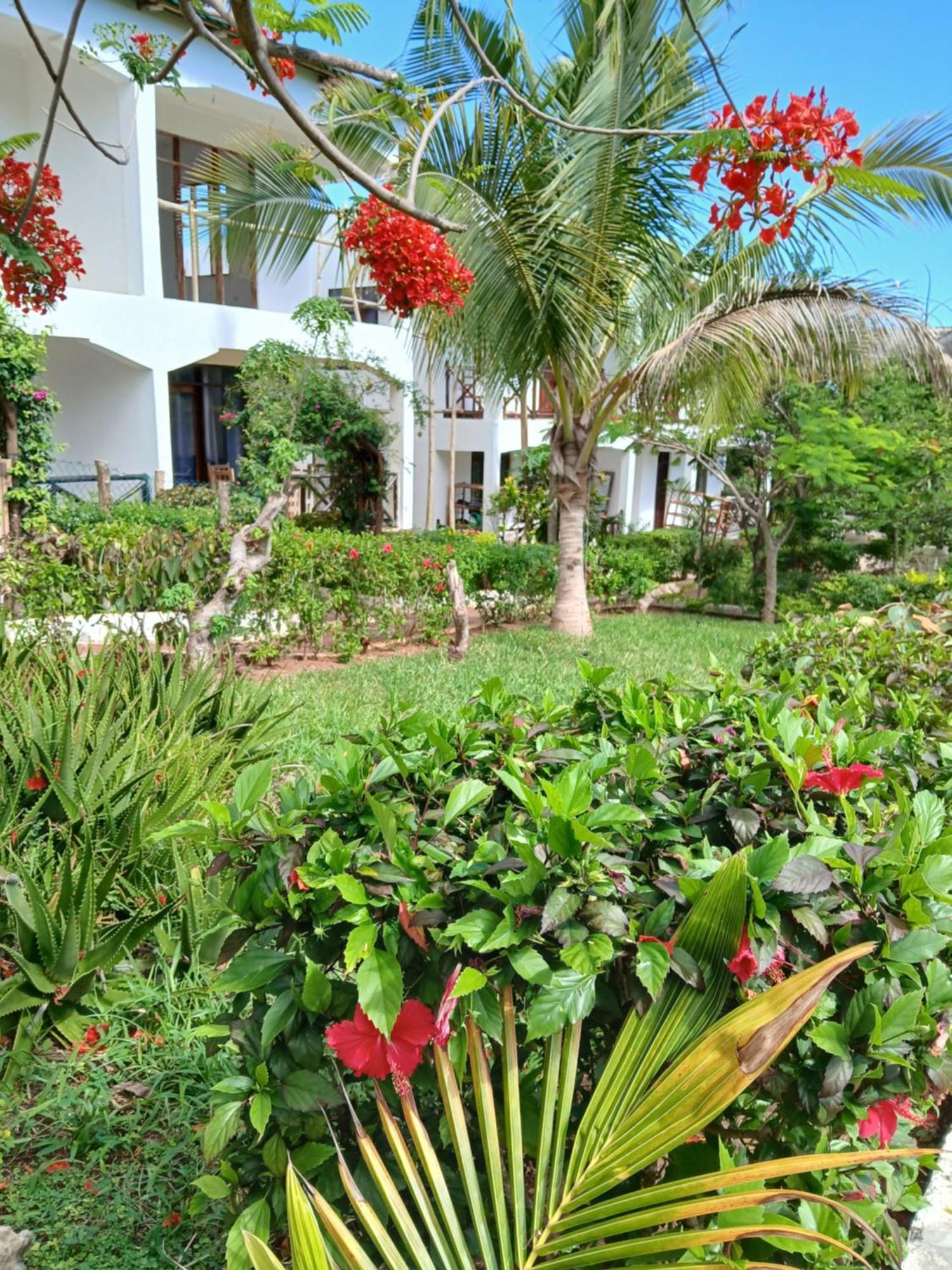 Majani Breeze Villa Nungwi Kültér fotó