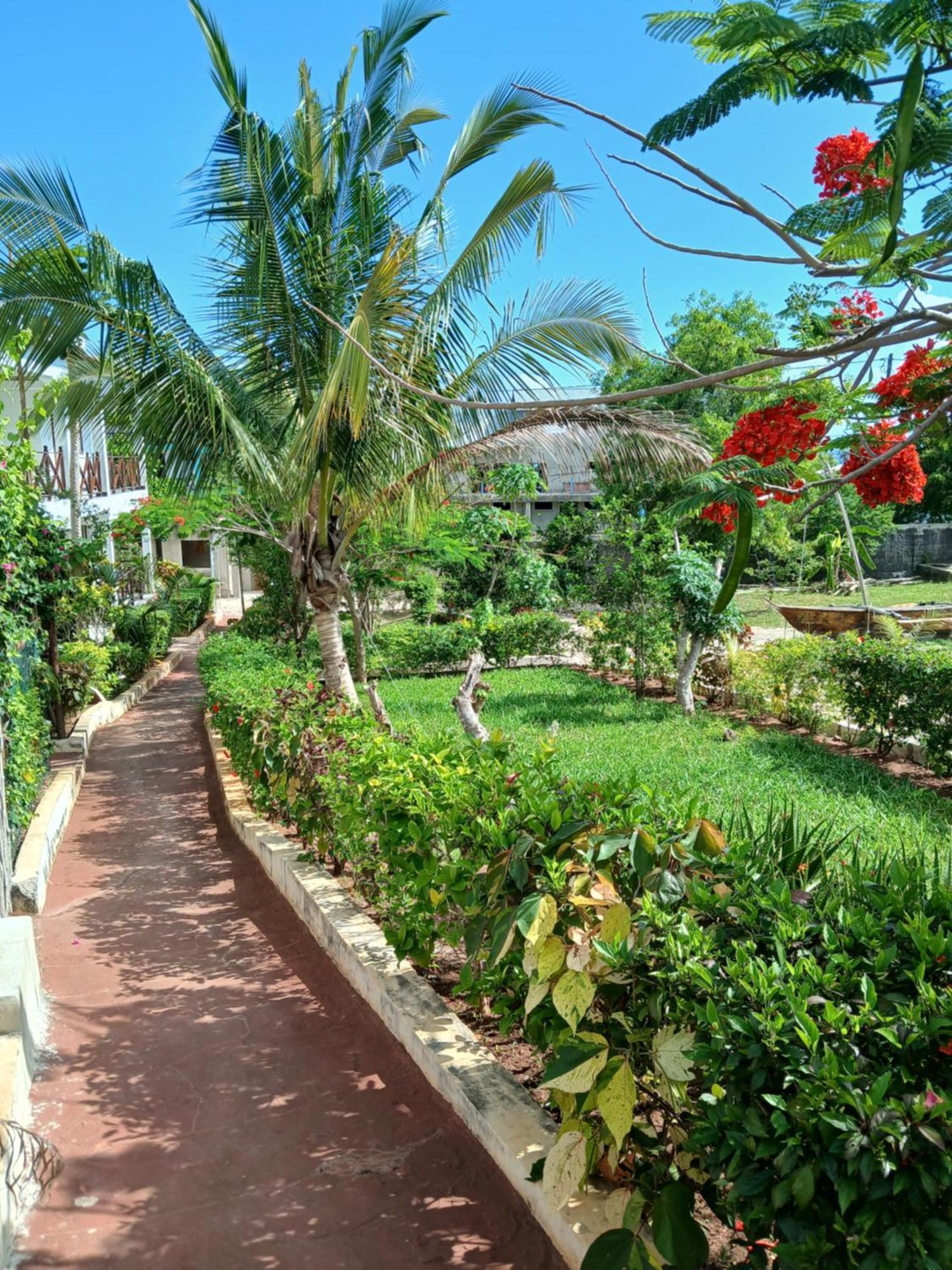 Majani Breeze Villa Nungwi Kültér fotó