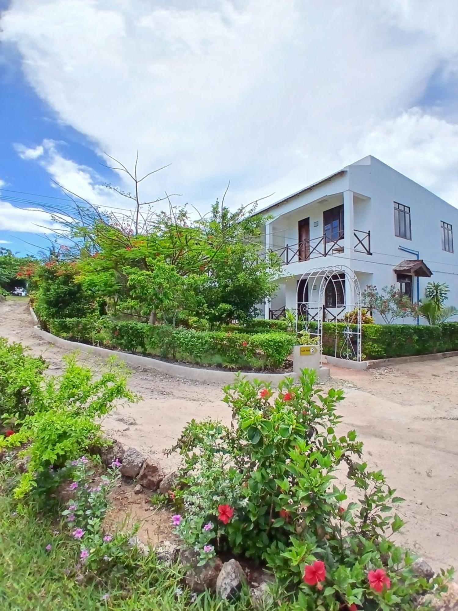 Majani Breeze Villa Nungwi Kültér fotó
