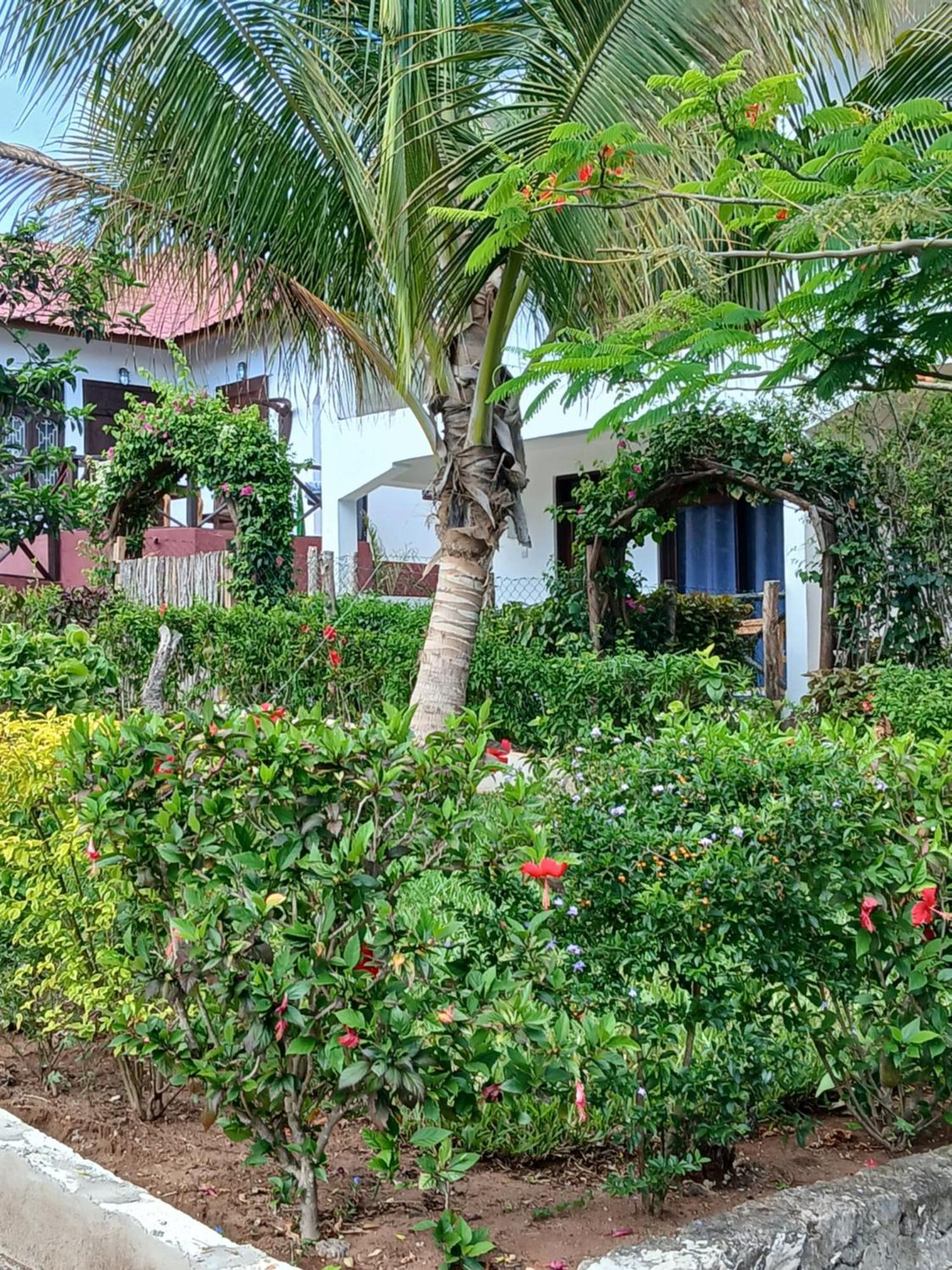 Majani Breeze Villa Nungwi Kültér fotó