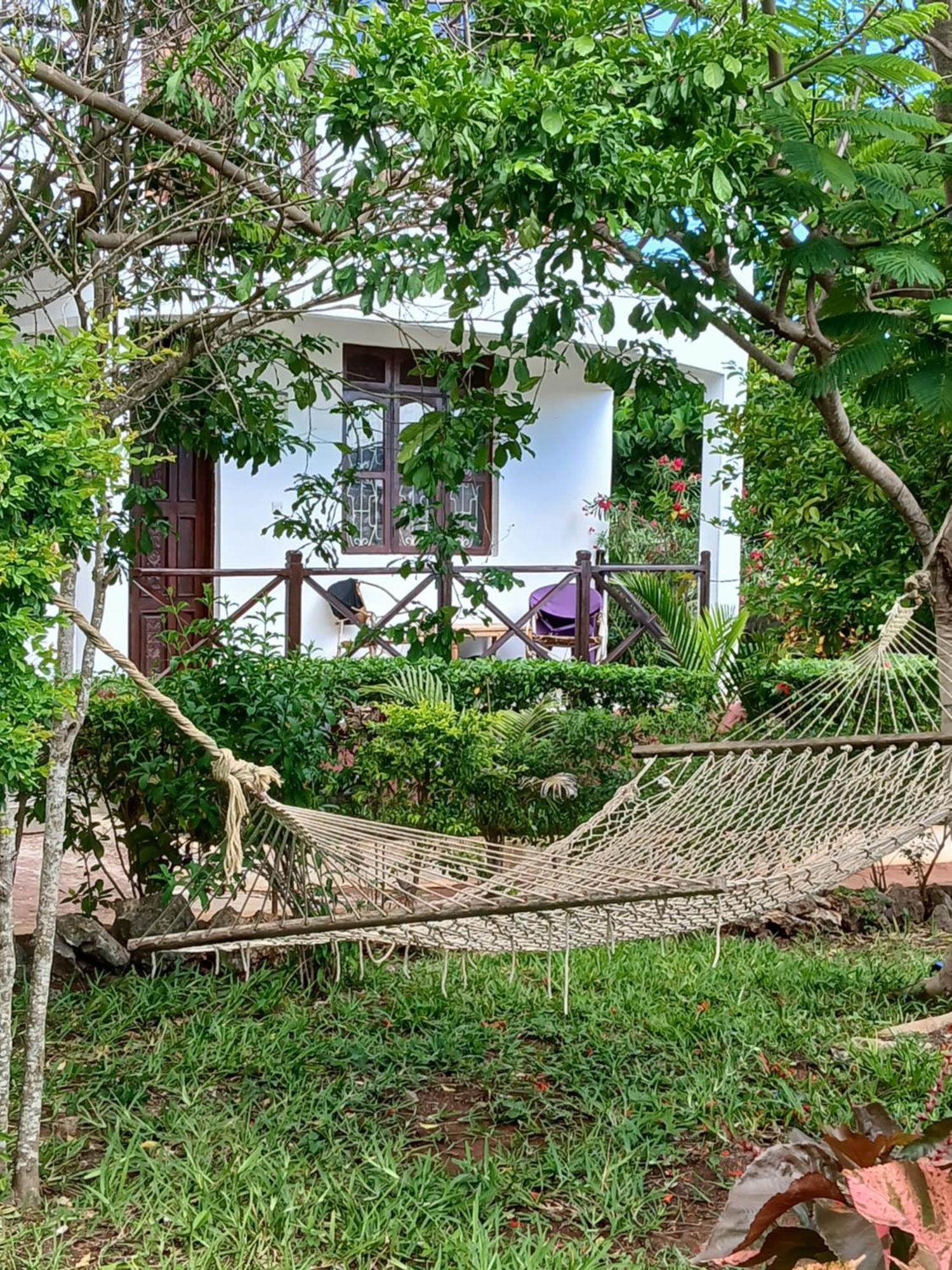 Majani Breeze Villa Nungwi Kültér fotó