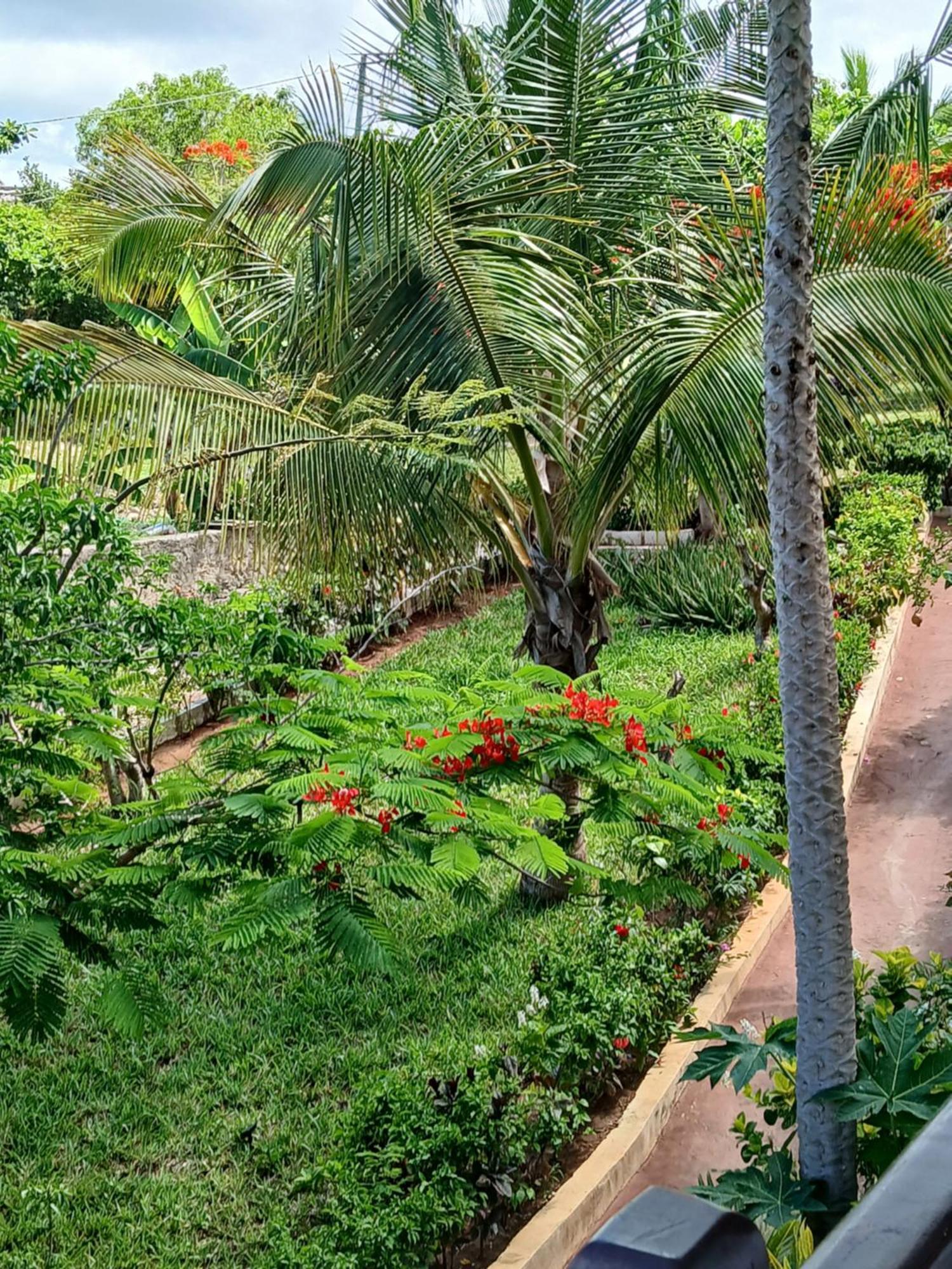 Majani Breeze Villa Nungwi Kültér fotó